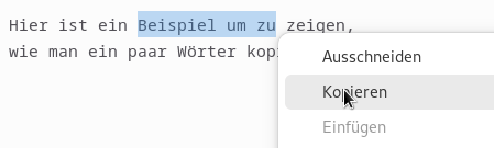 “Copy and paste” eines Textsegments: Kopie der Auswahl