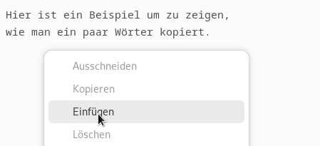 Copy and paste” eines Textsegments: Cursor auf das Ziel, Rechtsklick > Einfügen