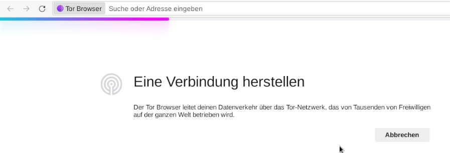 TorBrowser: Laden der Verbindungsinformation