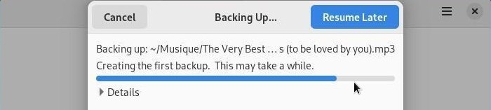 Deja-Dup: launching the first backup