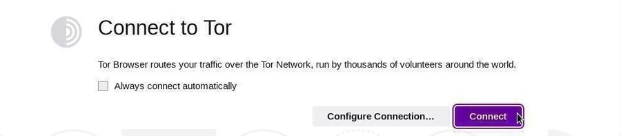 TorBrowser: connecting to network