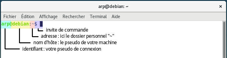 Présentation du terminal