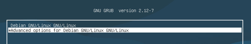 GRUB: advanced options